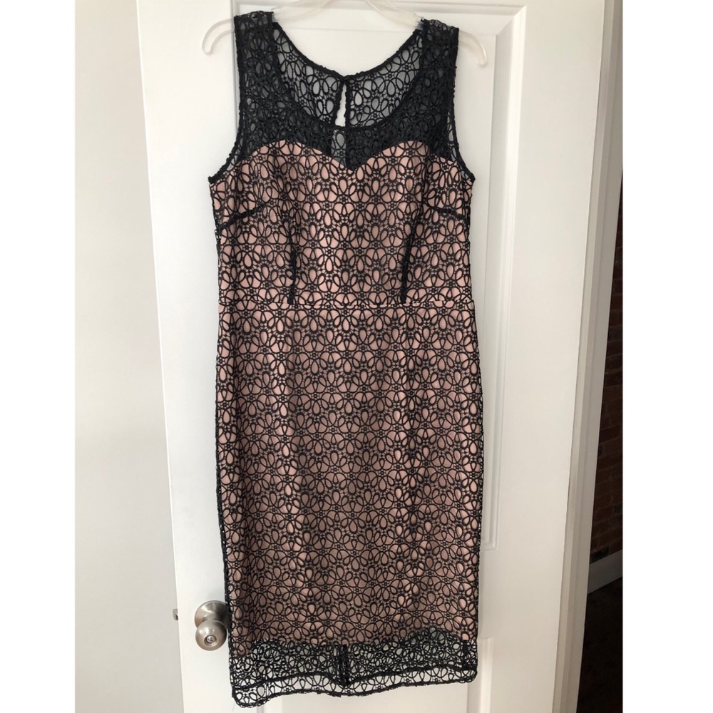 Ann Taylor brand new lace overlay dress